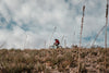 Deuter MX